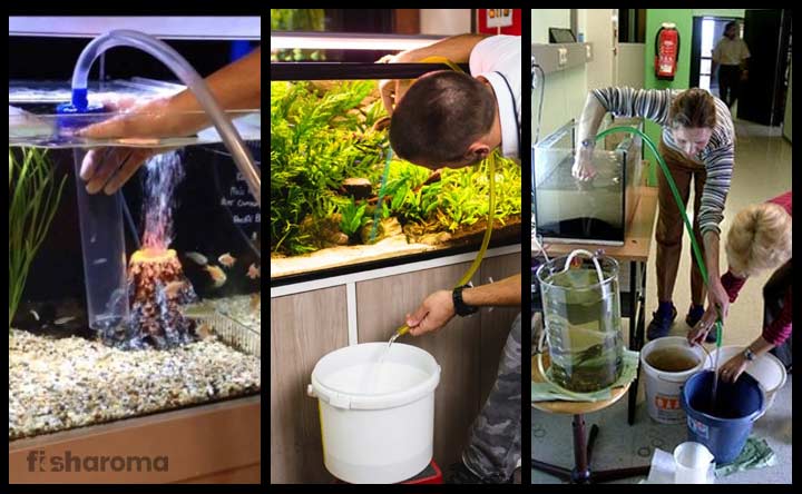 How to Clean a Fish Tank of Your Home with Smart Ways