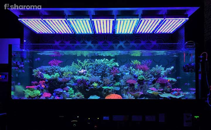 Reef LED Lighting for Saltwater Aquarium