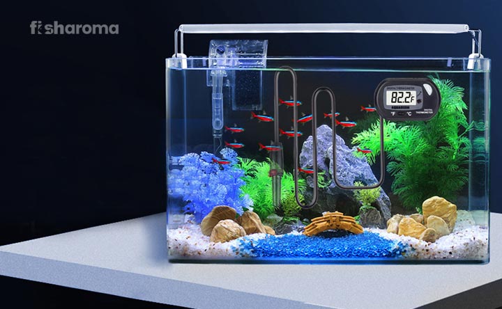 Best Aquarium UV Sterilizer Guides