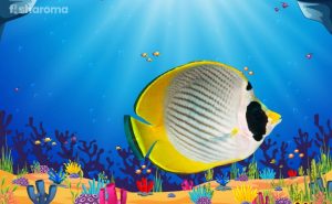 Butterflyfish – The Complete Care Guide for the Coral-Picker of Deep Ocean