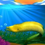 Moray Eel – The Complete Care Guide of How to Pet Them