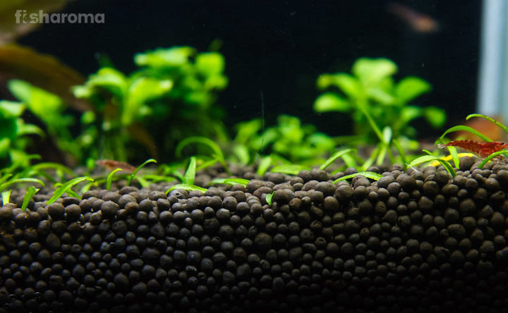7 Best Substrates for Planted Tanks: A Constructive Review & Buying Guide