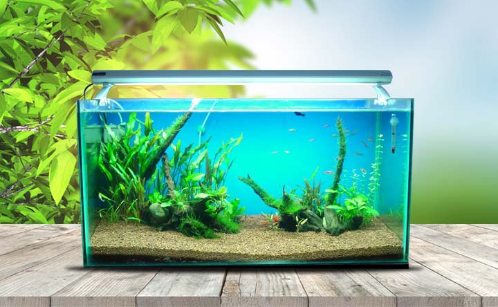 75 Gallon Aquarium tank