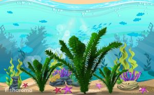 Anacharis – The Complete Care Guide for the Aquatic Plant