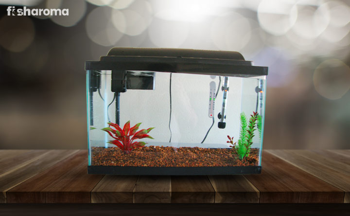 Aquarium Heater