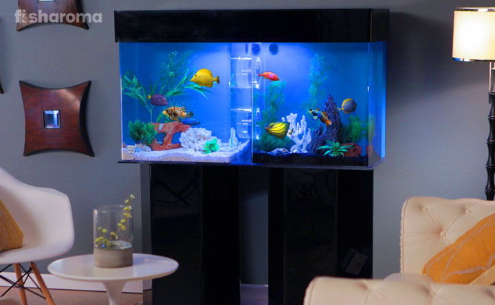 Best Aquarium Stands Buying tips