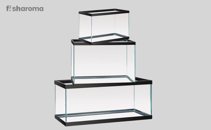 Choose the perfect Fish tank according to your fish pet